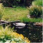 Как создать искусственный водоем? Читаем.